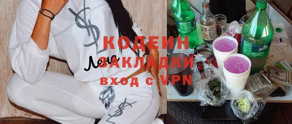 молекула духа Богородицк