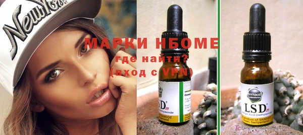 молекула духа Богородицк