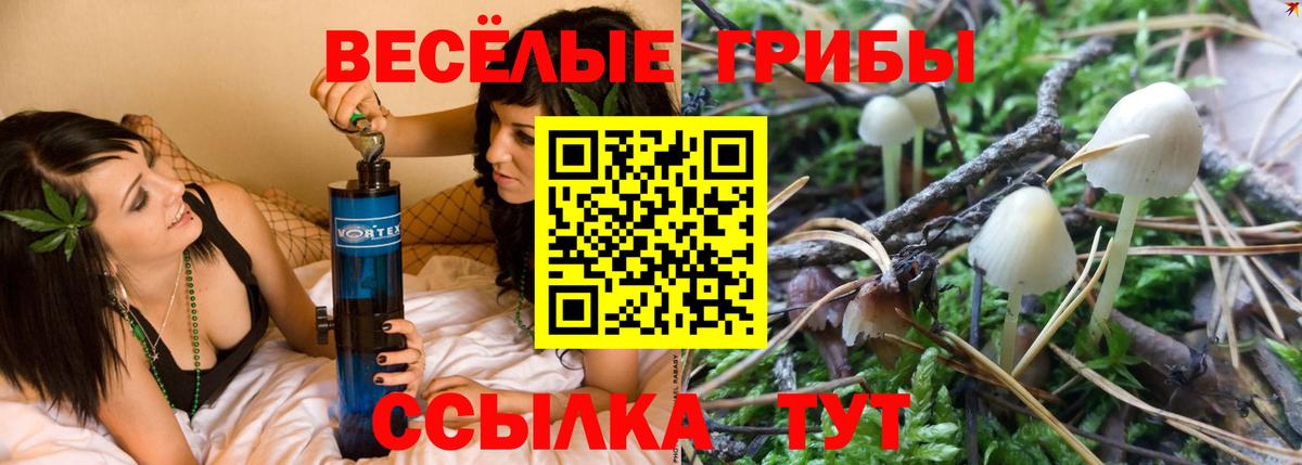 Малоярославец  Псилоцибиновые грибы Cubensis  Вход с VPN 