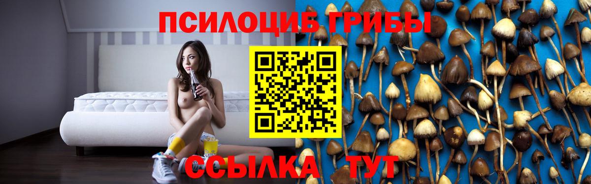Галлюциногенные грибы MAGIC MUSHROOMS Малоярославец